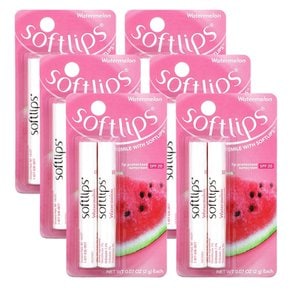 Softlips 소프트립스 워터멜론 립밤 SPF20 12개 Lip Protectant Watermelon