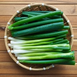 [자연맛남] 국내산 깐대파 1단 1kg내외 - SSG.COM