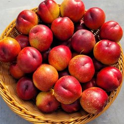 [SSG] 산지직송 고당도 신비복숭아 1kg 18과내외 (5,705원/무료)