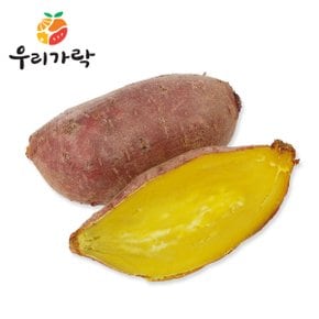 밤고구마 (중) 1kg 내외 (5-8입)