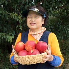 농부들의수확 [경북 산지직송] 못난이지만 실속가득 ! 부사 사과 3kg 중과 11-14과