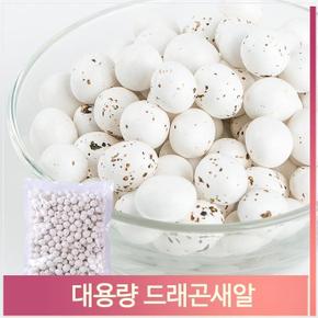 대용량 드래곤새알 초콜릿 1kg 탕비빌 아이 군것질 (S7313303)