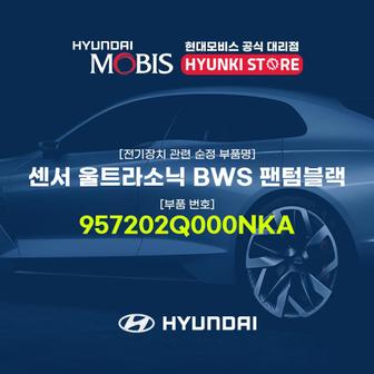 현대모비스 센서 울트라소닉 BWS 팬텀블랙 (957202Q000NKA)