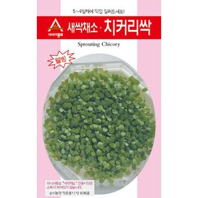 새싹씨앗종자 치커리싹 (30g) 새싹채소