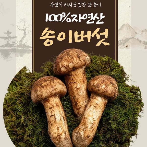 확대된 대표 상품 이미지 1