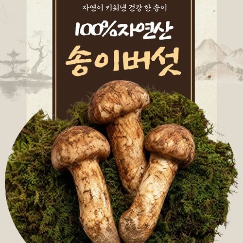 상품 이미지 1