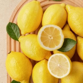 칠레산 레몬 550g 팩