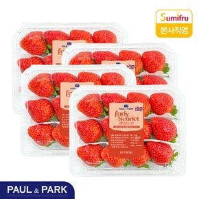 레이디 스칼렛 딸기 200g / 250g