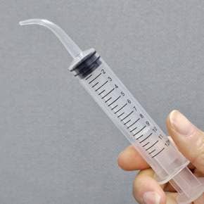 동물 반려동물 파충류 반려 피딩