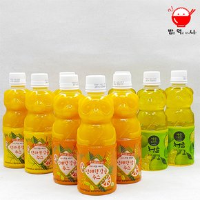 제주 감귤 주스100%착즙 주스3종 한라봉,천혜향,청귤(330ml x6병) 각2병씩 혼합