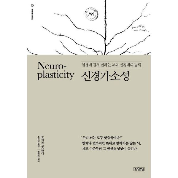 확대된 대표 default