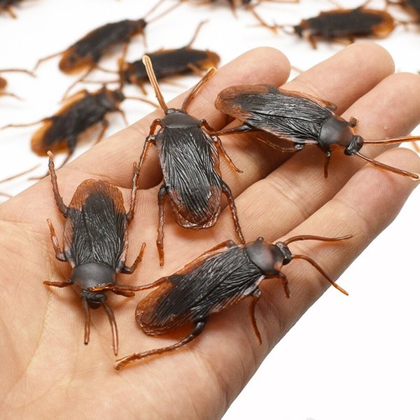 확대된 대표 상품이미지1