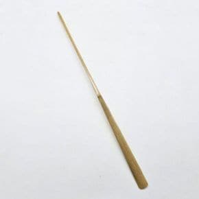 장구채(열채)