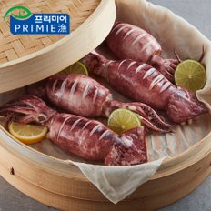 통오징어 700g 2팩 (총 10-16마리)