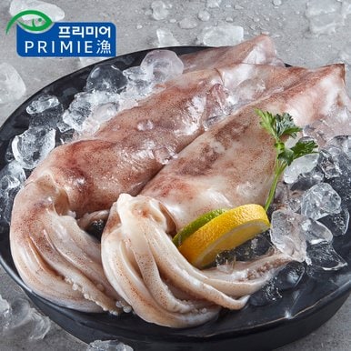 통오징어 700g 2팩 (총 10-16마리)