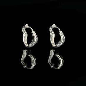 Sparkle wave earring (2024fw47)