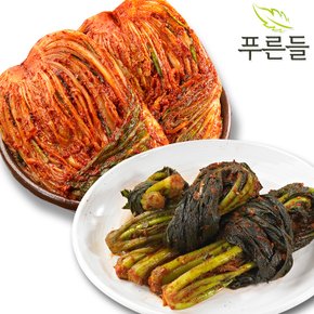 양념한가득 남도식 포기김치 1kg + 여수갓김치 1kg