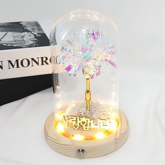 4. 더라임코리아 홀..