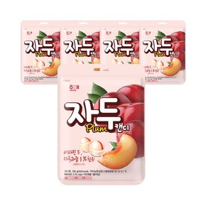 해태 자두캔디 130g x 5개 / 사탕 캔디