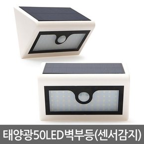 태양광 50LED 벽부등 센서감지 / 태양열 벽등 계단등 현관등 센서등 현관조명 외부벽등 가로등 정원등 잔디등 전등 야외등 동작감지 야외조명 실외등 태양열충전 솔라등 태양광등 LED