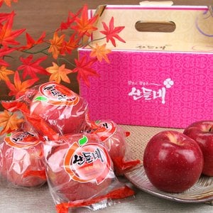 산들네 [바로배송][경상북도][껍질째 먹는 경북 사과]산들네 한입세척사과 3kg 16~17과내