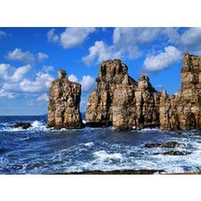 [인천항] 백령도,대청도 2박 3일 섬 여행 프로젝트 황금나무와 여행친구들