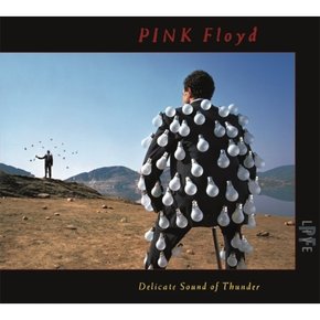 [CD] Pink Floyd - Delicate Sound Of Thunder: Live (Digipack) [2Cd] / 핑크 플로이드 - 델리케이트 사운드 오브 썬더: 라이브 (디지팩) [2Cd]