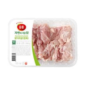 국내산 무항생제 닭정육(닭다리살) 350g*4팩