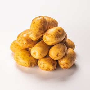 국내산 조림용 감자 1kg