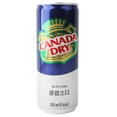  메가커피 캐나다드라이 클럽소다 캔 250ml