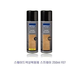 신발관리 스웨이드 색상 복원제 스프레이 분사형 250ml 5종