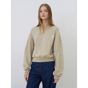 V-neck cotton logo sweatshirt (beige)