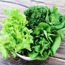 유러피안 야채 쌈채소 무농약 1kg내외 (3-6종 랜덤)