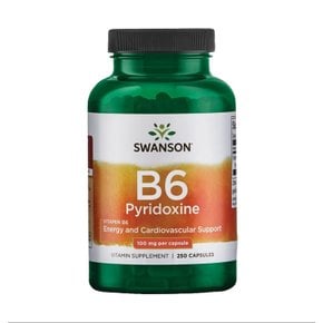 피리독신 비타민 B6 피리독신 100mg 250캡슐