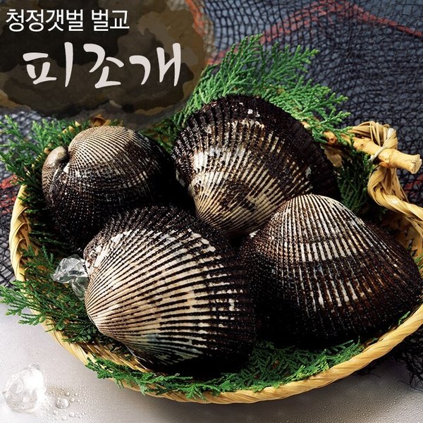 벌교 피꼬막 특품 2kg 산지직송