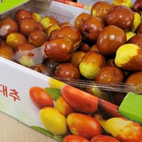 산지직송 천황 사과대추 2kg 대과 35-40mm 생대추