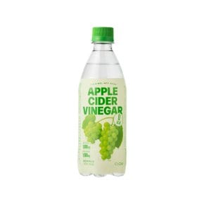클룹 애사비소다 샤인머스캣 제로 500ml