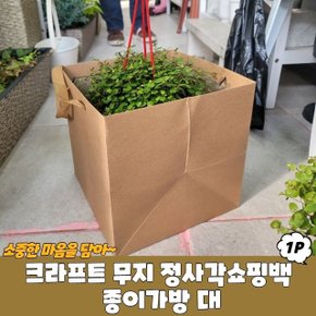 크라프트 무지 정사각쇼핑백 종이가방 대 (WC38F57)