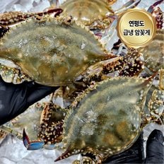  연평도 급냉 암꽃게 국내산 냉동꽃게 2kg (6-10미)