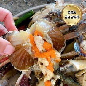 연평도 급냉 암꽃게 국내산 냉동꽃게 2kg (6-10미)