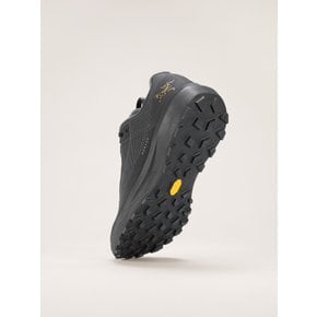 [시흥점] [공식판매처] SS26 노반 LD 4 GTX 남성 Norvan LD 4 GTX Shoe (AFQSM10397)