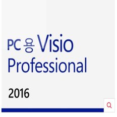 MS VISIO PROFESSIONAL 2016 ESD LICENSE(소량 재고)