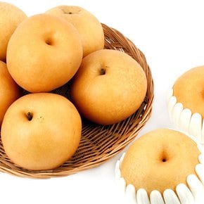 [9/15 순차출고] [농협공판장] 정성드린 기획 배세트 15kg(21-30과)