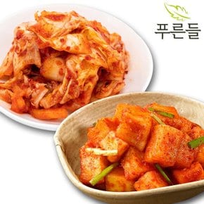 양념한가득 남도식 맛김치 1kg + 깍두기 1kg