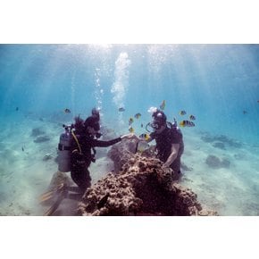 괌 체험 스쿠버 다이빙 (다이빙스팟: 피쉬아이 마린파크)