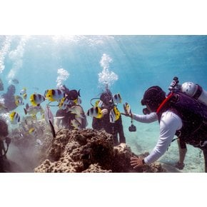괌 체험 스쿠버 다이빙 (다이빙스팟: 피쉬아이 마린파크)