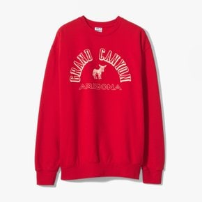 WILD DONKEY 와일드 동키 GRAND CANYON SWEATSHIRT RED 그랜드케년 스웻셔츠 레드