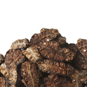 최상품 건노니 노니열매 1kg
