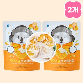 [1+1] 제주건귤 초콜릿 화이트 40g 바삭귤 아이간식