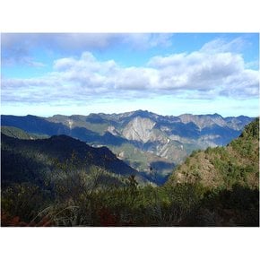 대만 옥산(3,952m) 트레킹 4일 동북아최고봉 발마사지 야시장 전문산악가이드동행